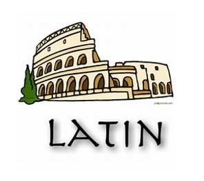 Les options&nbsp;possibles en 4°