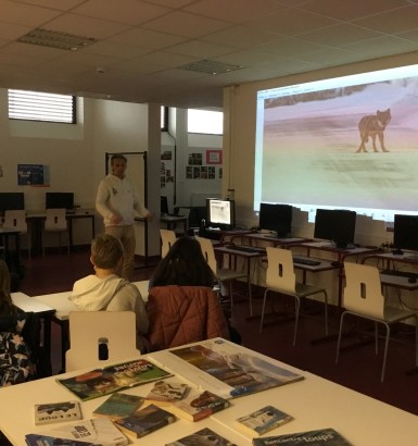 E3D et littérature : le loup au cœur d’une rencontre pédagogique