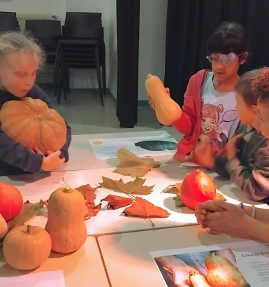 Saveurs d'automne