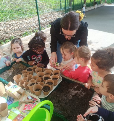 Semis en TPS/PS le Lundi 27 Avril