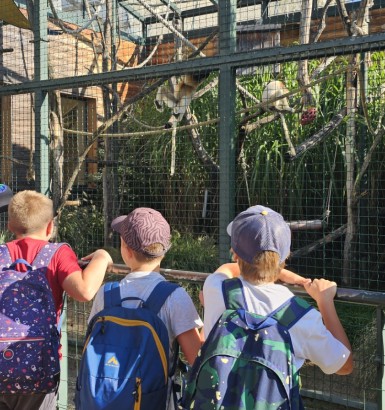 Une sortie unité du cycle 3 à la Citadelle