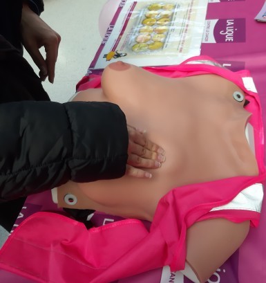 🎀 Octobre Rose au lycée : quand prévention rime avec action !